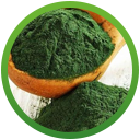 espirulina